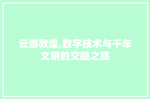 云游敦煌,数字技术与千年文明的交融之旅