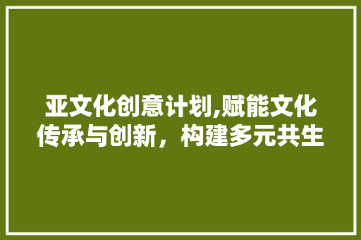 亚文化创意计划,赋能文化传承与创新，构建多元共生发展新格局