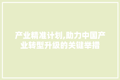 产业精准计划,助力中国产业转型升级的关键举措