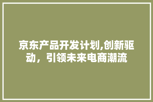 京东产品开发计划,创新驱动，引领未来电商潮流