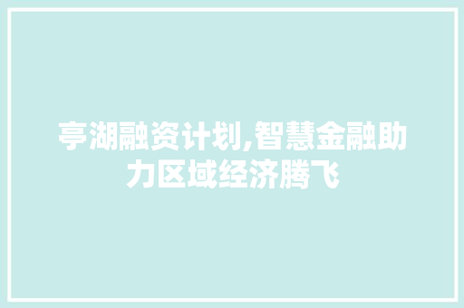 亭湖融资计划,智慧金融助力区域经济腾飞