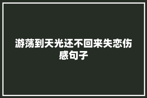 游荡到天光还不回来失恋伤感句子