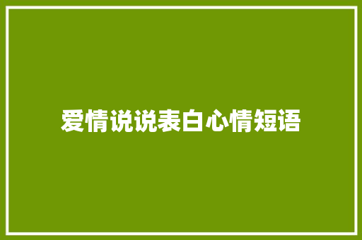 爱情说说表白心情短语