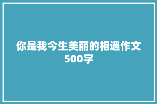 你是我今生美丽的相遇作文500字