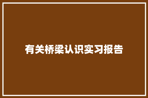 有关桥梁认识实习报告