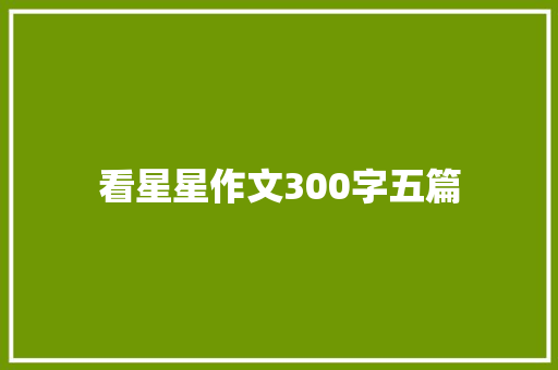 看星星作文300字五篇