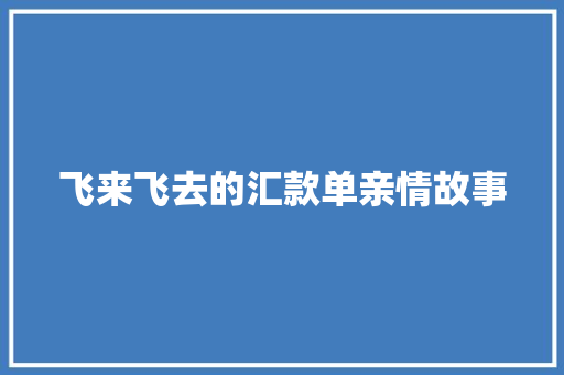 飞来飞去的汇款单亲情故事