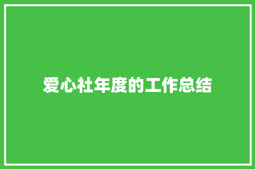 爱心社年度的工作总结