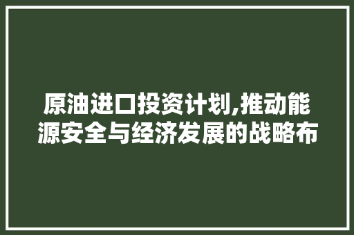 原油进口投资计划,推动能源安全与经济发展的战略布局