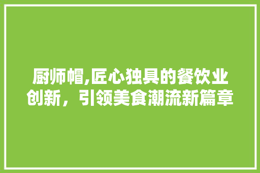 厨师帽,匠心独具的餐饮业创新，引领美食潮流新篇章