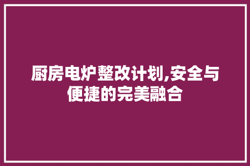 厨房电炉整改计划,安全与便捷的完美融合