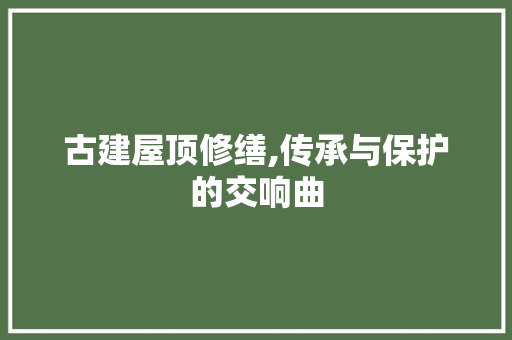 古建屋顶修缮,传承与保护的交响曲