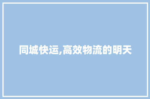 同城快运,高效物流的明天