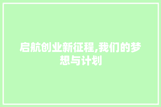 启航创业新征程,我们的梦想与计划