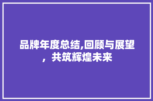 品牌年度总结,回顾与展望，共筑辉煌未来