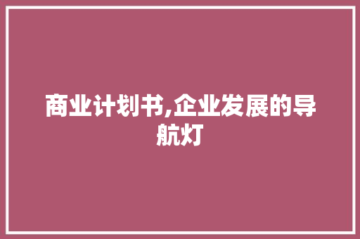 商业计划书,企业发展的导航灯