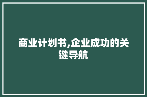 商业计划书,企业成功的关键导航