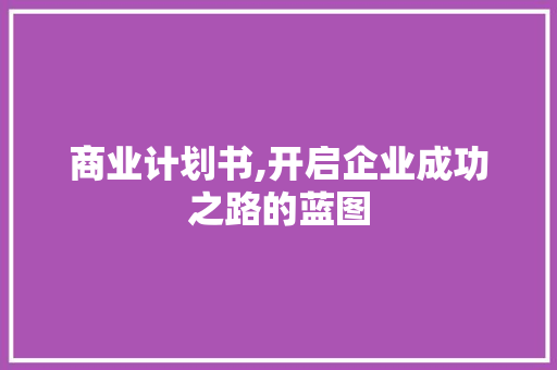 商业计划书,开启企业成功之路的蓝图