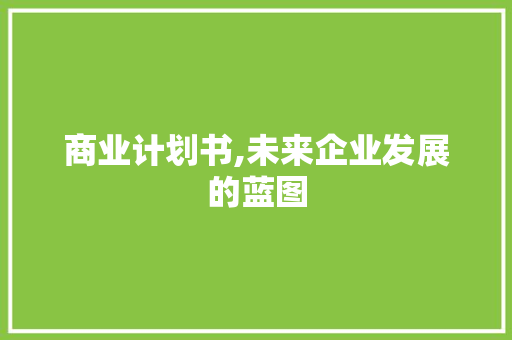 商业计划书,未来企业发展的蓝图