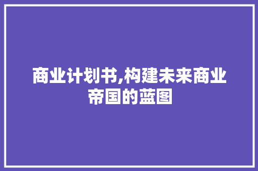 商业计划书,构建未来商业帝国的蓝图