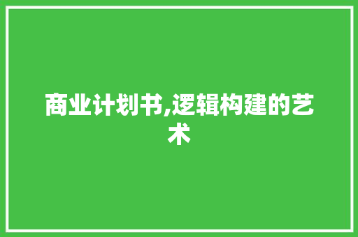 商业计划书,逻辑构建的艺术