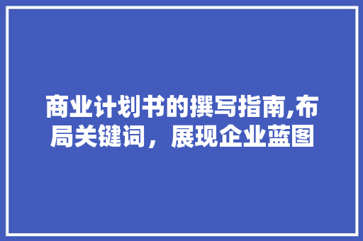 商业计划书的撰写指南,布局关键词，展现企业蓝图