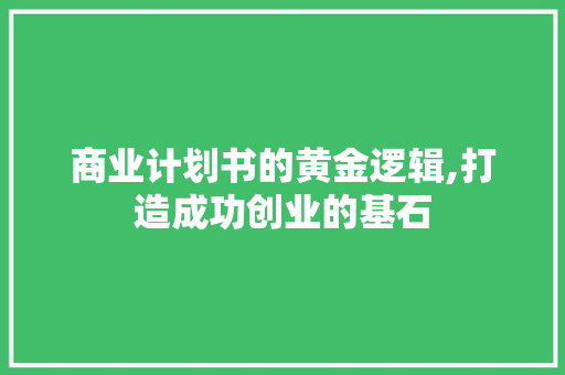 商业计划书的黄金逻辑,打造成功创业的基石