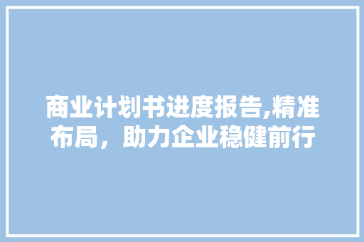 商业计划书进度报告,精准布局，助力企业稳健前行