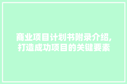 商业项目计划书附录介绍,打造成功项目的关键要素