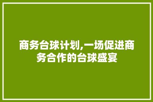 商务台球计划,一场促进商务合作的台球盛宴