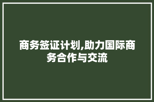 商务签证计划,助力国际商务合作与交流