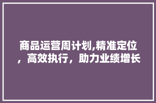 商品运营周计划,精准定位，高效执行，助力业绩增长