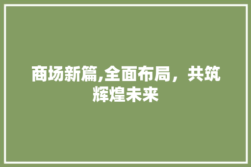 商场新篇,全面布局，共筑辉煌未来