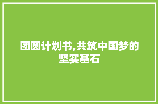 团圆计划书,共筑中国梦的坚实基石