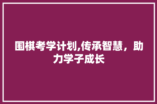 围棋考学计划,传承智慧，助力学子成长