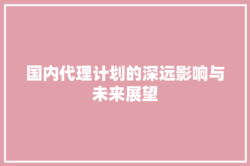 国内代理计划的深远影响与未来展望