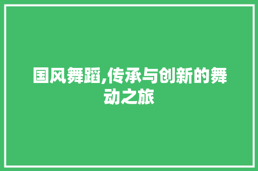 国风舞蹈,传承与创新的舞动之旅