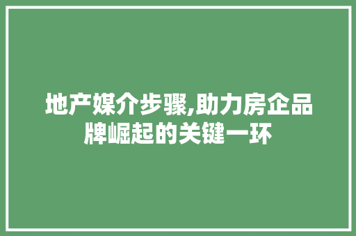 地产媒介步骤,助力房企品牌崛起的关键一环