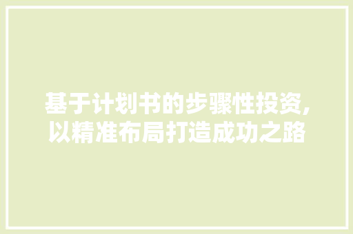 基于计划书的步骤性投资,以精准布局打造成功之路