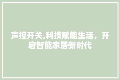 声控开关,科技赋能生活，开启智能家居新时代