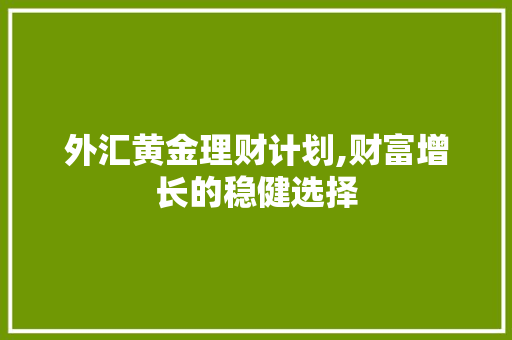 外汇黄金理财计划,财富增长的稳健选择