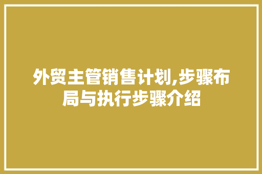 外贸主管销售计划,步骤布局与执行步骤介绍