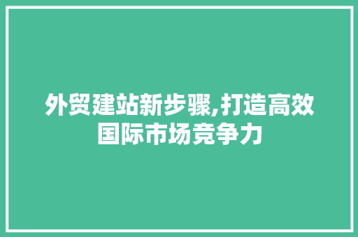 外贸建站新步骤,打造高效国际市场竞争力