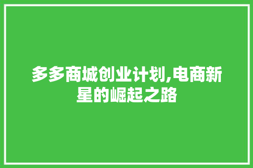 多多商城创业计划,电商新星的崛起之路