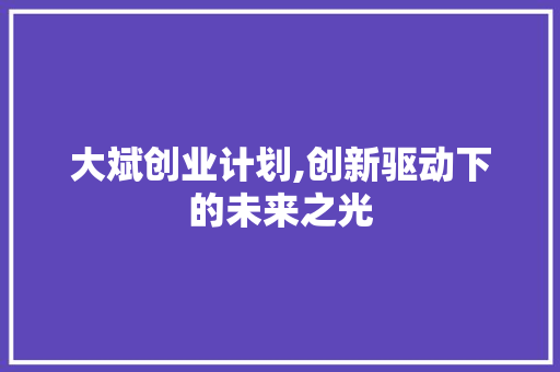 大斌创业计划,创新驱动下的未来之光