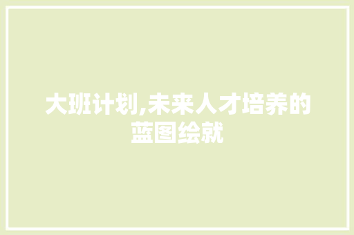 大班计划,未来人才培养的蓝图绘就