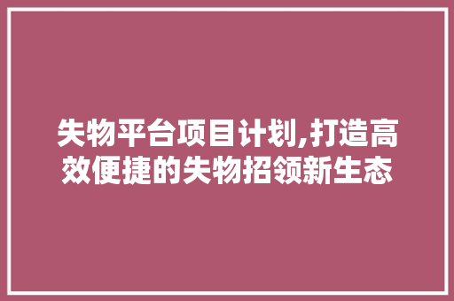 失物平台项目计划,打造高效便捷的失物招领新生态