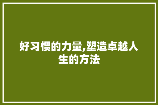 好习惯的力量,塑造卓越人生的方法