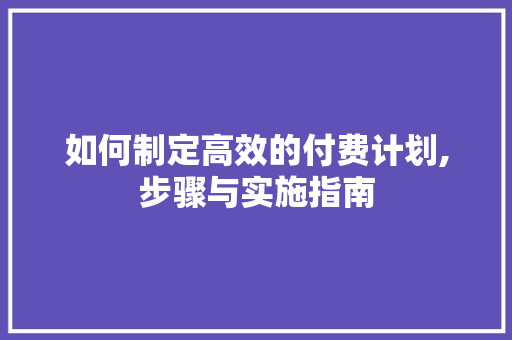 如何制定高效的付费计划,步骤与实施指南