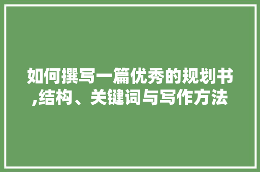 如何撰写一篇优秀的规划书,结构、关键词与写作方法介绍